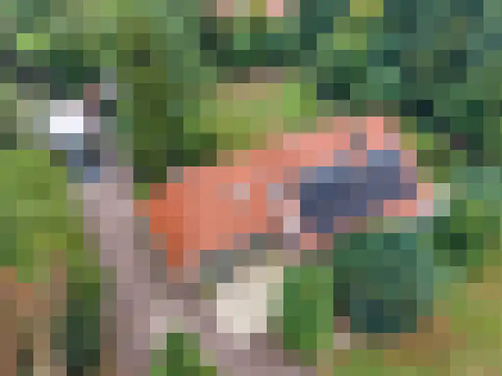 Welgelegen 2 A Jubbega thumbnail 71