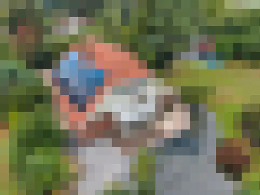Welgelegen 2 A Jubbega thumbnail 72