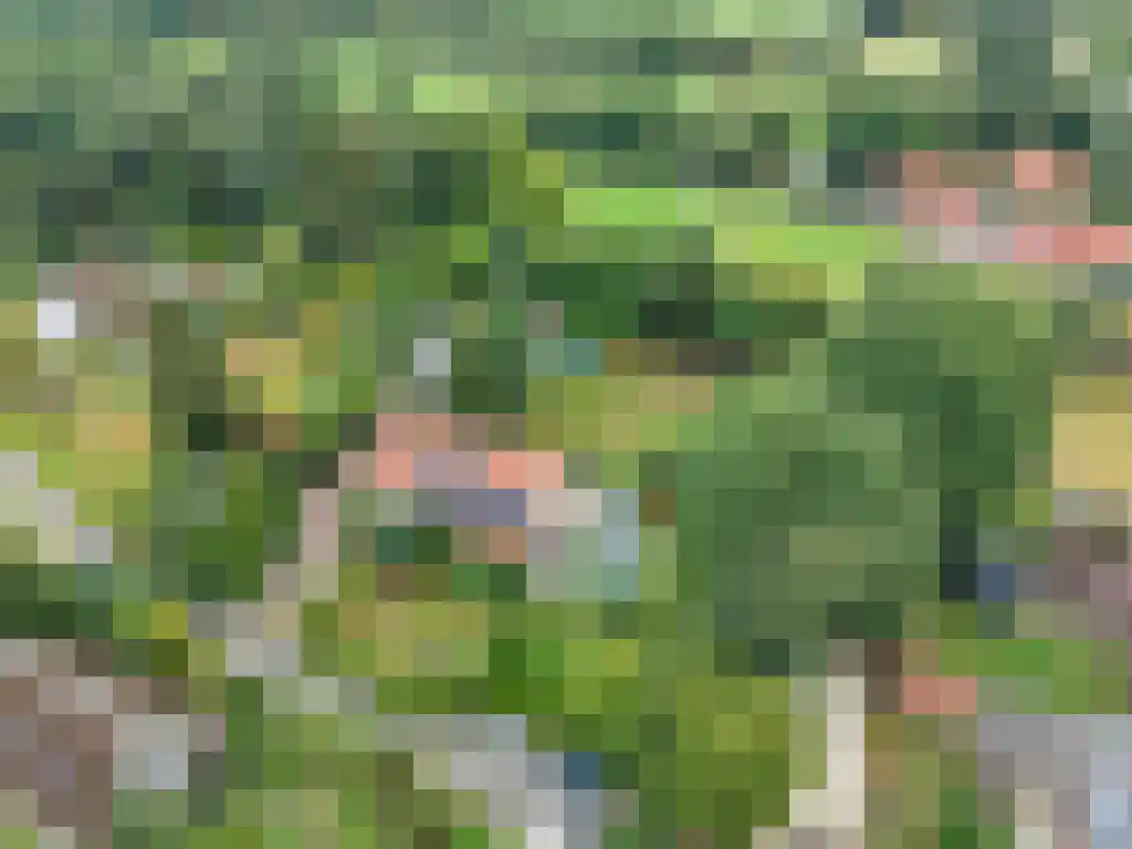 Welgelegen 2 A Jubbega thumbnail 73