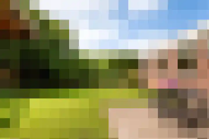 Welgelegen 23 Nieuw-Vennep thumbnail 5