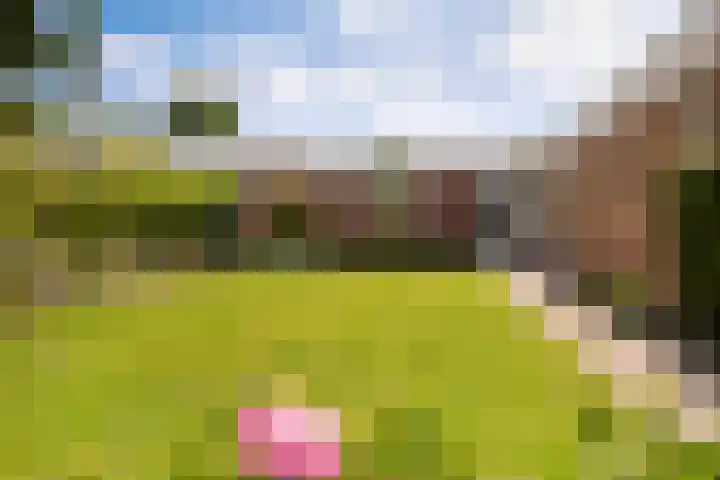 Welgelegen 23 Nieuw-Vennep thumbnail 7