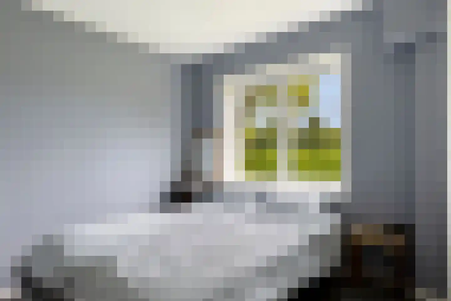 Welgelegen 7 Lippenhuizen thumbnail 23