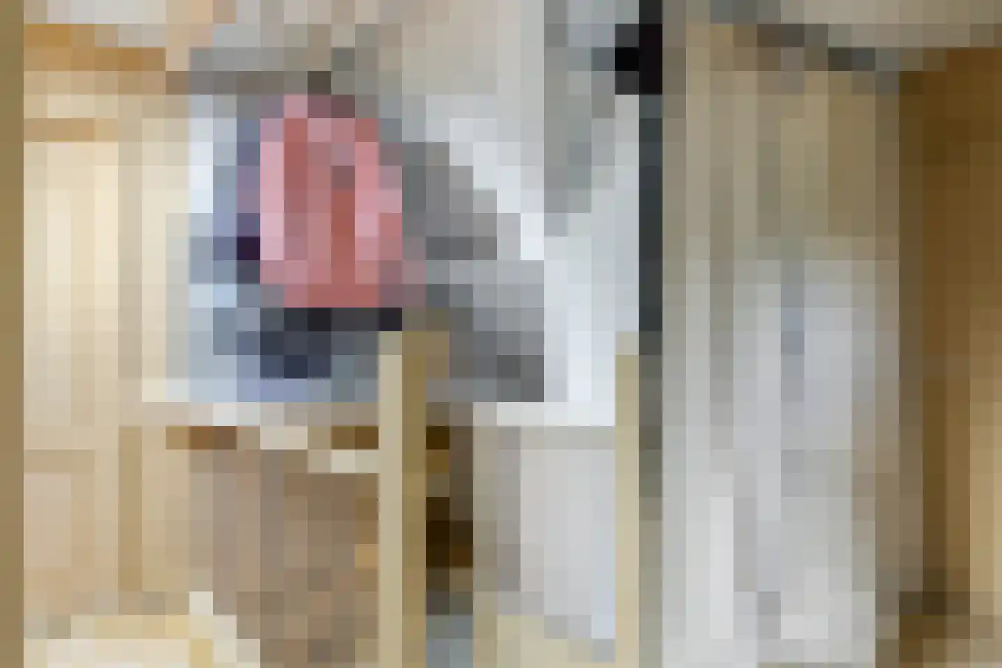 Welgelegen 7 Lippenhuizen thumbnail 27