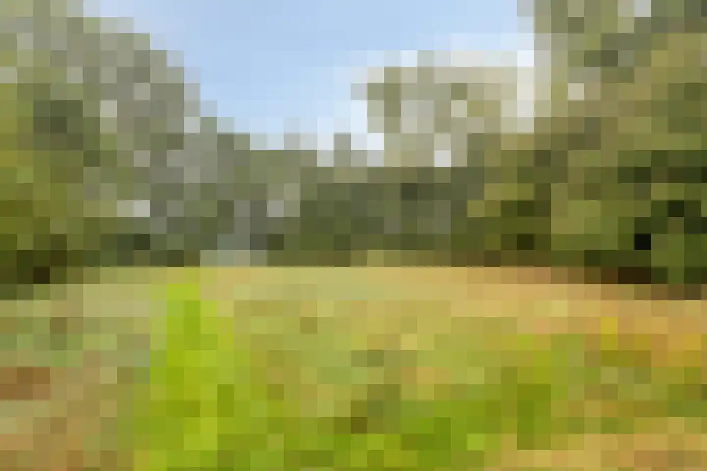 Welgelegen 7 Lippenhuizen thumbnail 38