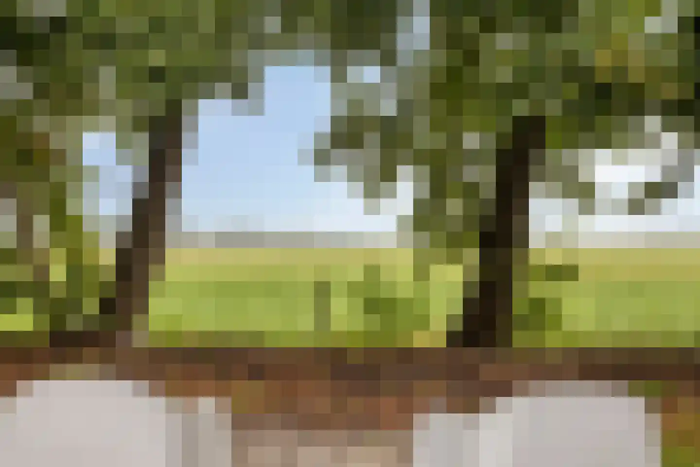 Welgelegen 7 Lippenhuizen thumbnail 39
