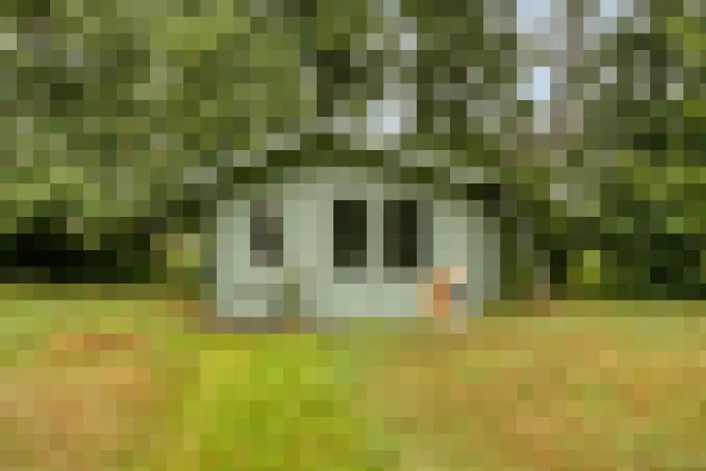 Welgelegen 7 Lippenhuizen thumbnail 40