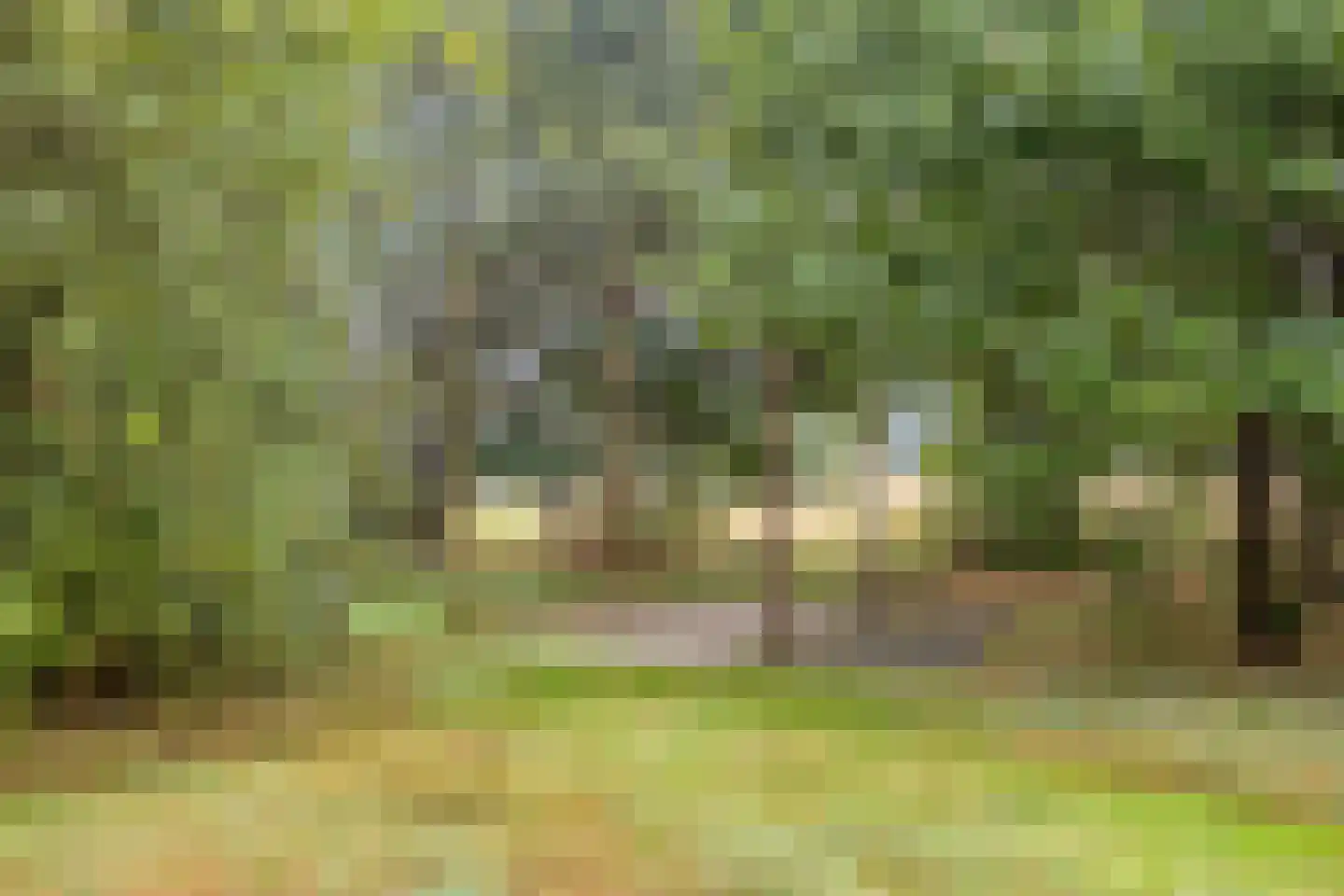 Welgelegen 7 Lippenhuizen thumbnail 41