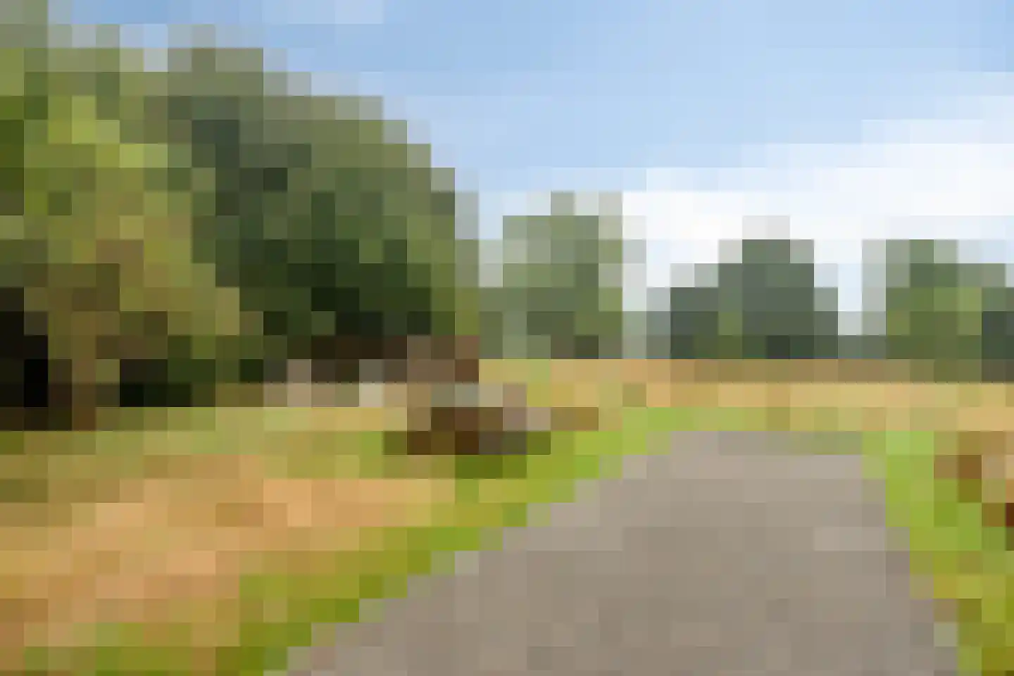 Welgelegen 7 Lippenhuizen thumbnail 42
