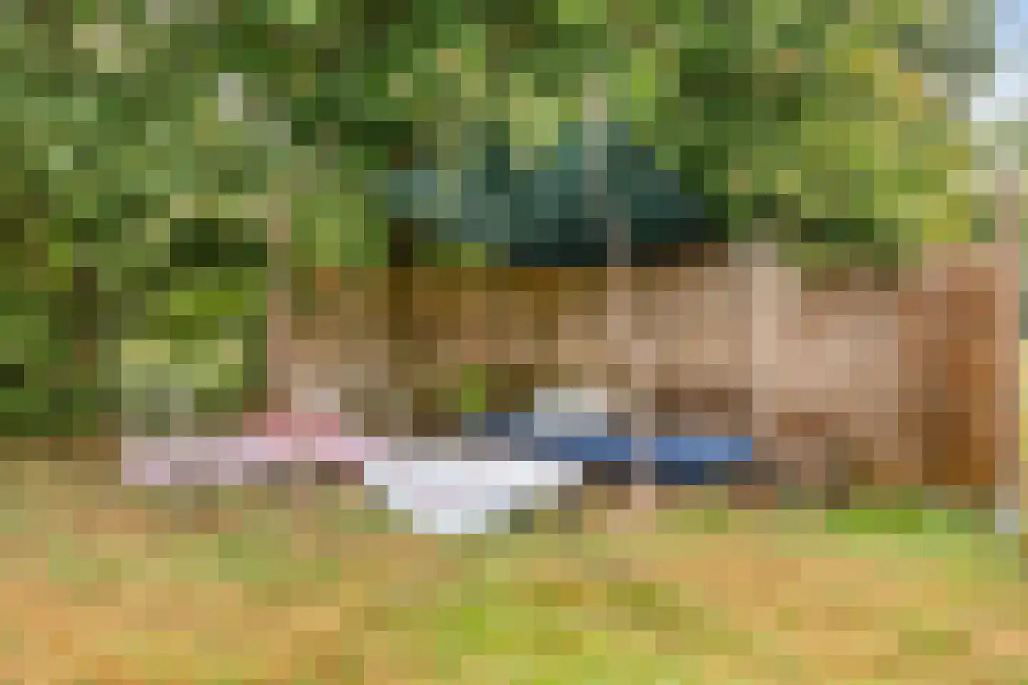 Welgelegen 7 Lippenhuizen thumbnail 43