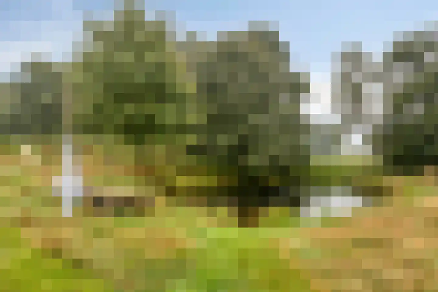 Welgelegen 7 Lippenhuizen thumbnail 44