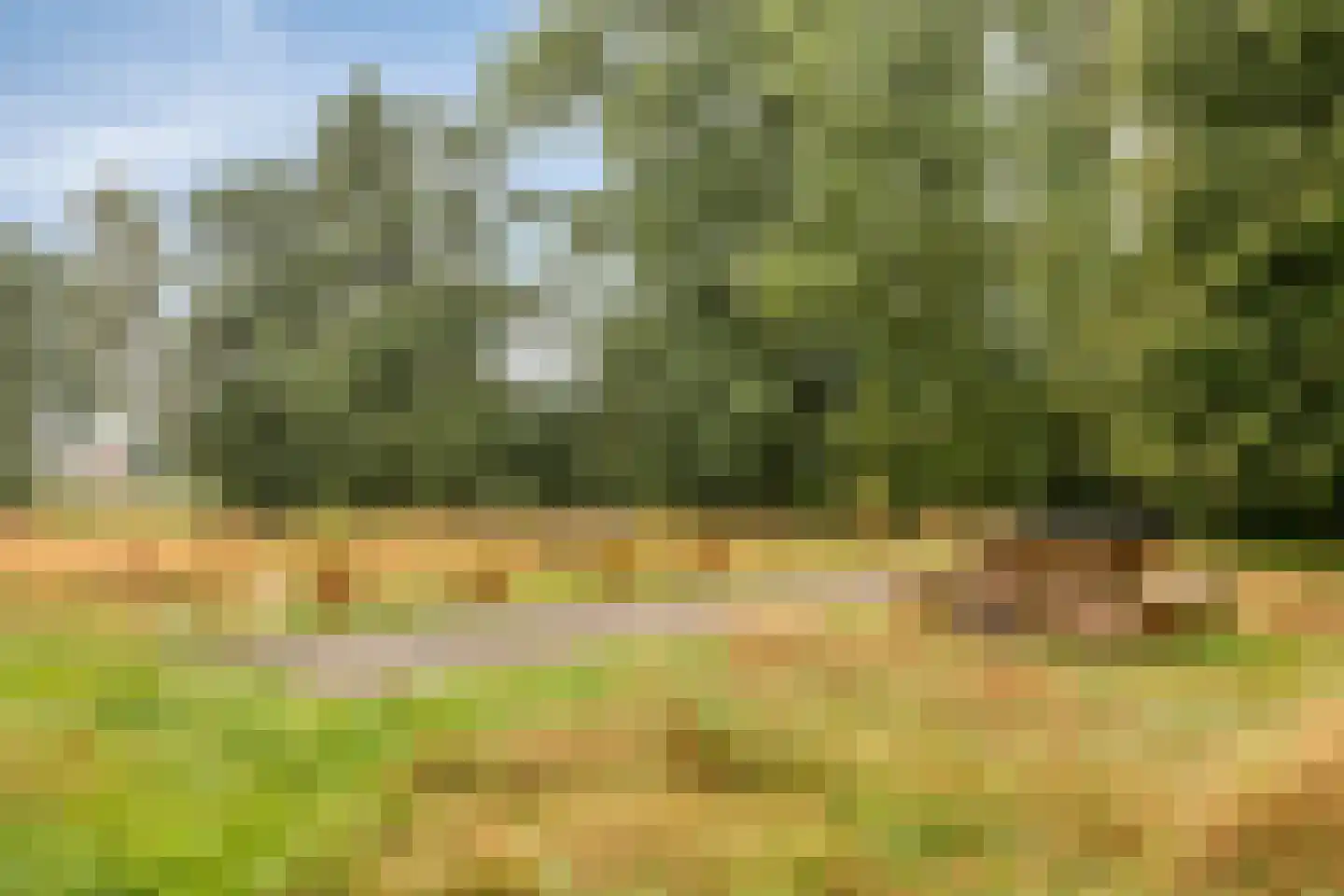 Welgelegen 7 Lippenhuizen thumbnail 46