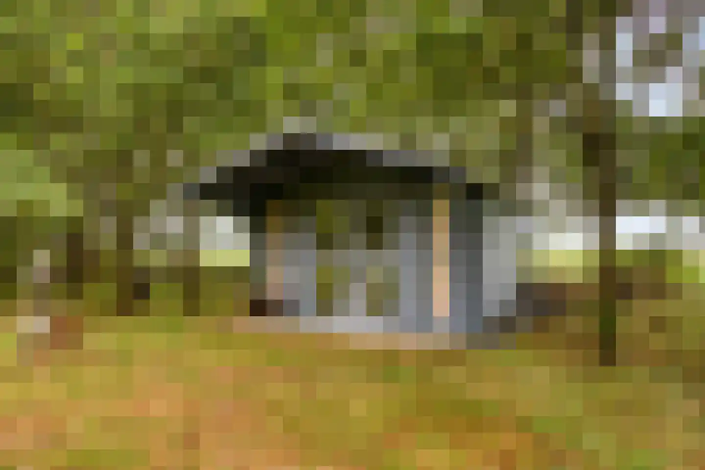 Welgelegen 7 Lippenhuizen thumbnail 48
