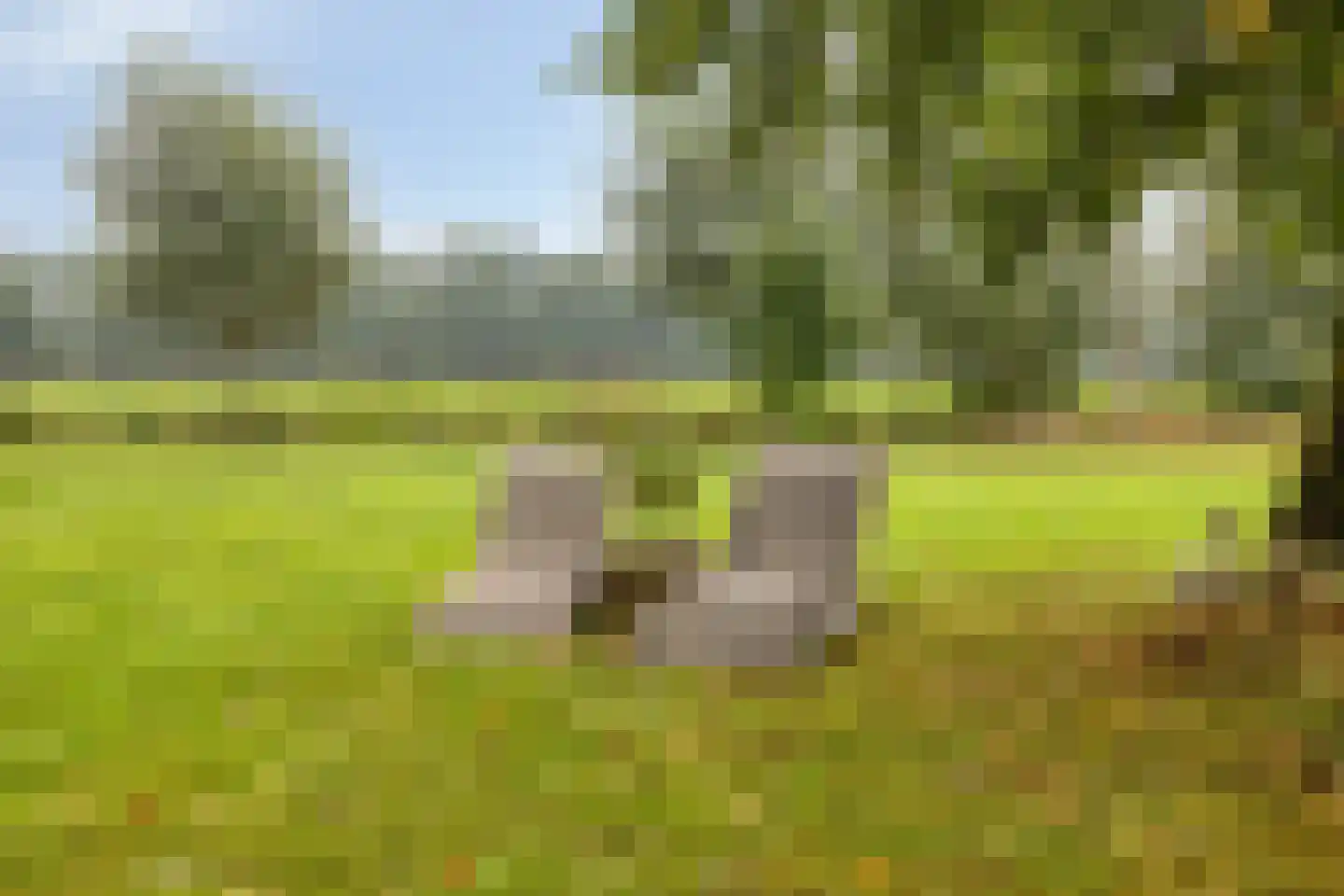 Welgelegen 7 Lippenhuizen thumbnail 53