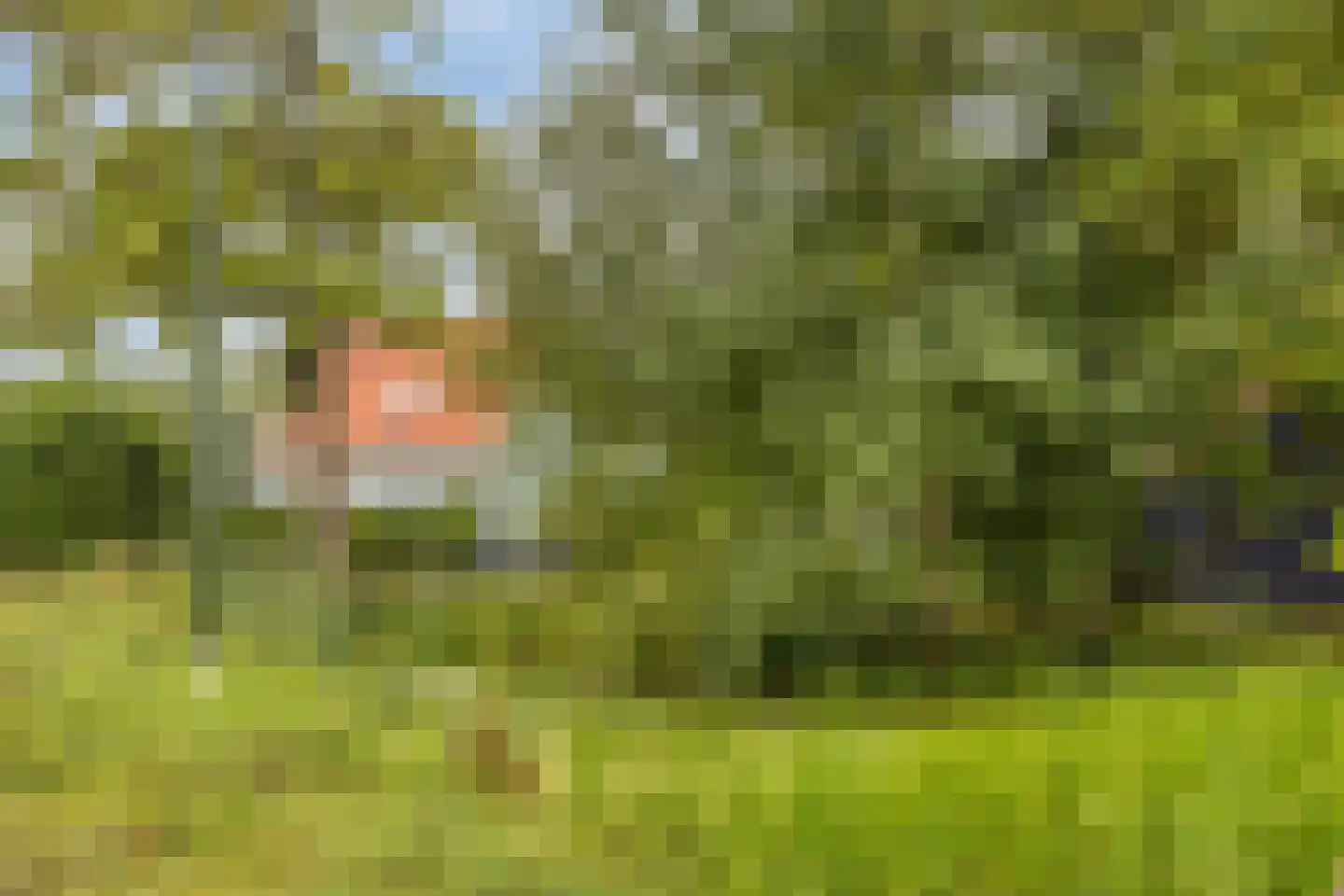 Welgelegen 7 Lippenhuizen thumbnail 8