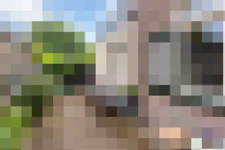 Welgelegenlaan 15 Apeldoorn thumbnail 12