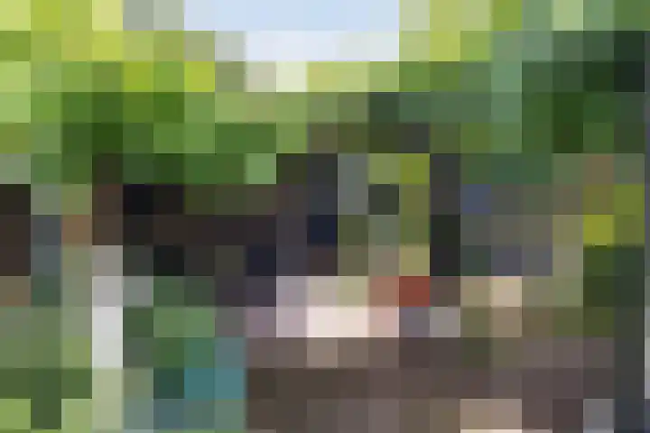 Welgelegenlaan 15 Apeldoorn thumbnail 14