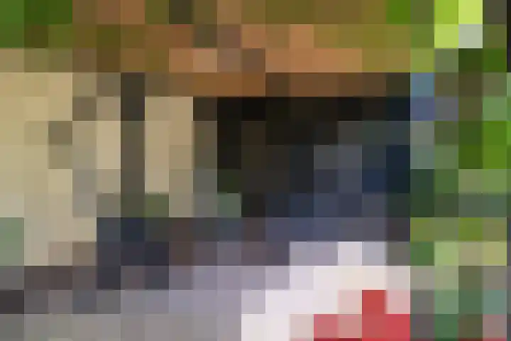 Welgelegenlaan 15 Apeldoorn thumbnail 15