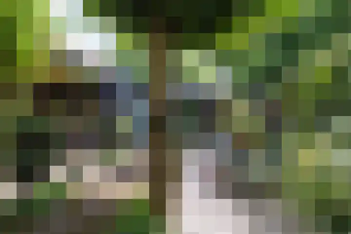 Welgelegenlaan 15 Apeldoorn thumbnail 17