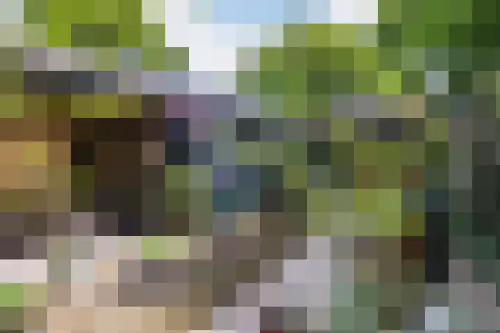 Welgelegenlaan 15 Apeldoorn thumbnail 18