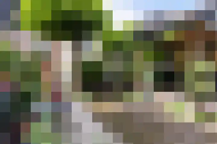 Welgelegenlaan 15 Apeldoorn thumbnail 19