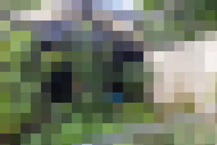 Welgelegenlaan 15 Apeldoorn thumbnail 20