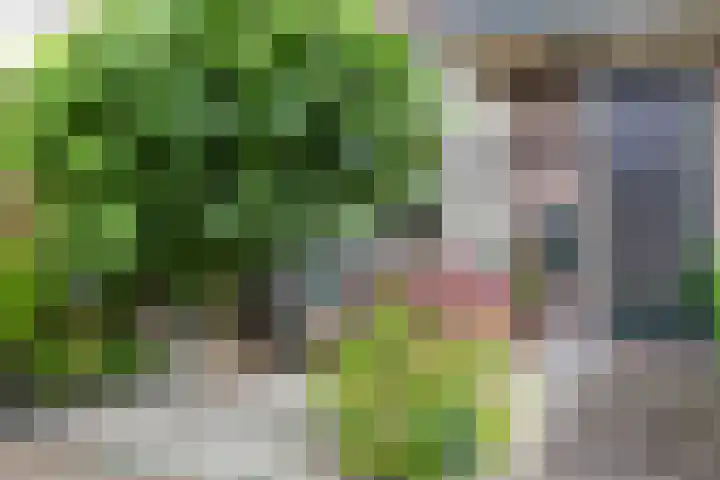 Welgelegenlaan 15 Apeldoorn thumbnail 21