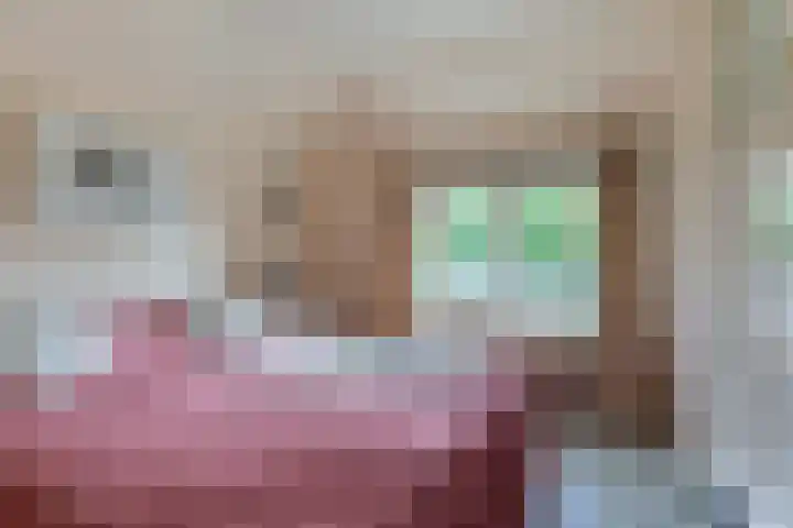 Welgelegenlaan 15 Apeldoorn thumbnail 25