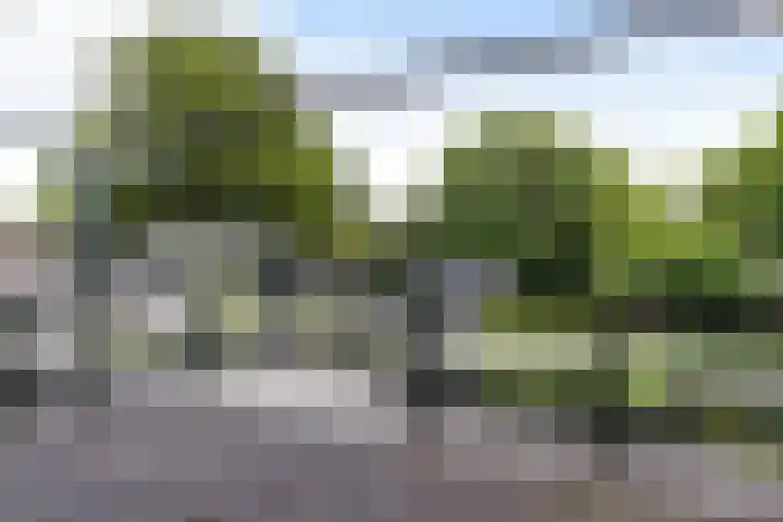 Welgelegenlaan 15 Apeldoorn thumbnail 33