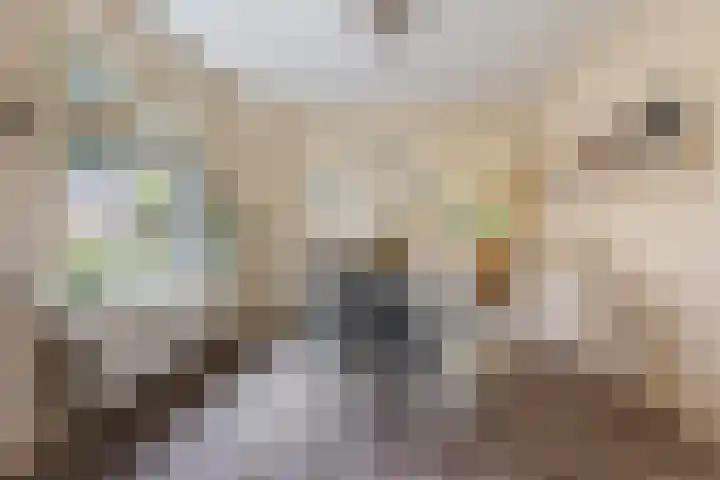 Welgelegenlaan 15 Apeldoorn thumbnail 4