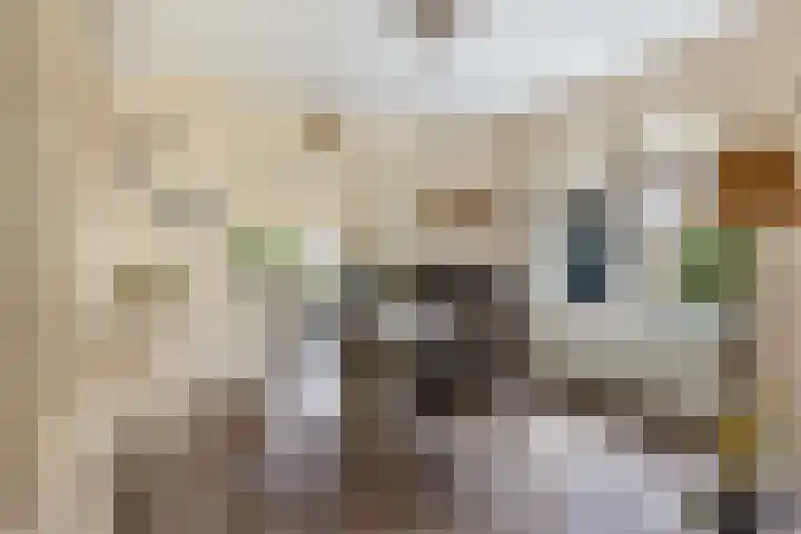 Welgelegenlaan 15 Apeldoorn thumbnail 5