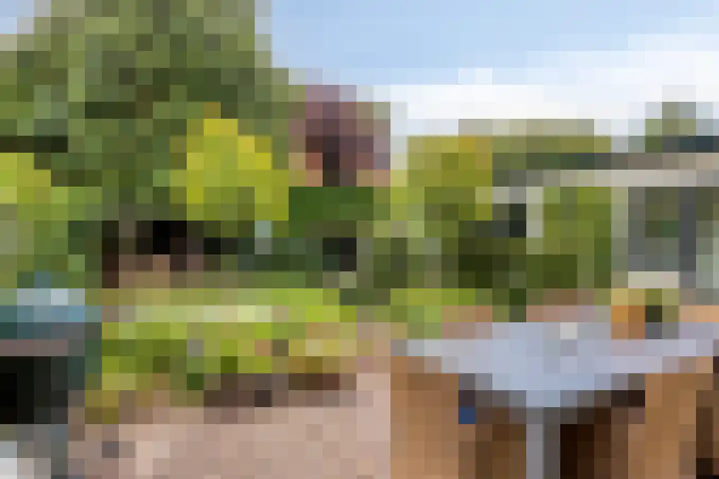 Welgelegenlaan 18 Driebergen-Rijsenburg thumbnail 15