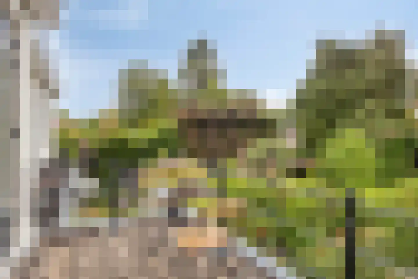 Welgelegenlaan 18 Driebergen-Rijsenburg thumbnail 37