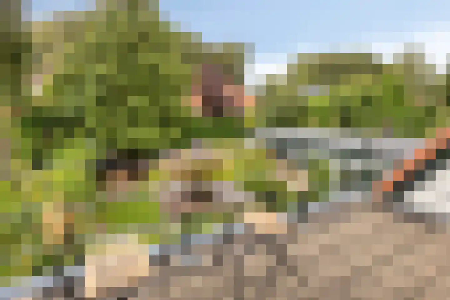 Welgelegenlaan 18 Driebergen-Rijsenburg thumbnail 38