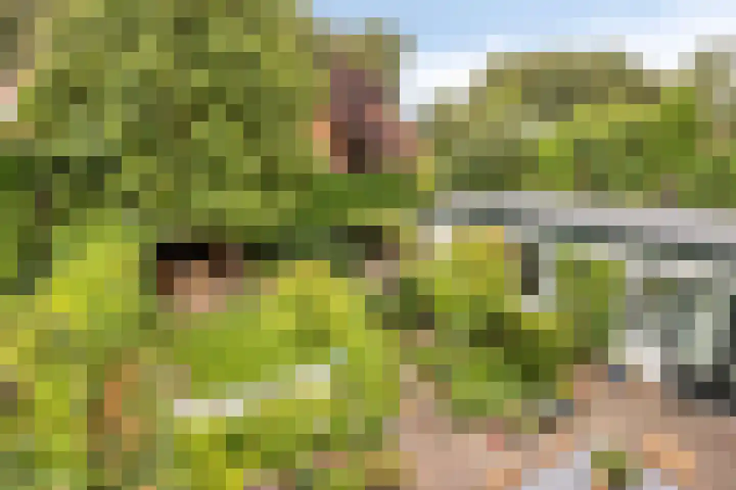 Welgelegenlaan 18 Driebergen-Rijsenburg thumbnail 39