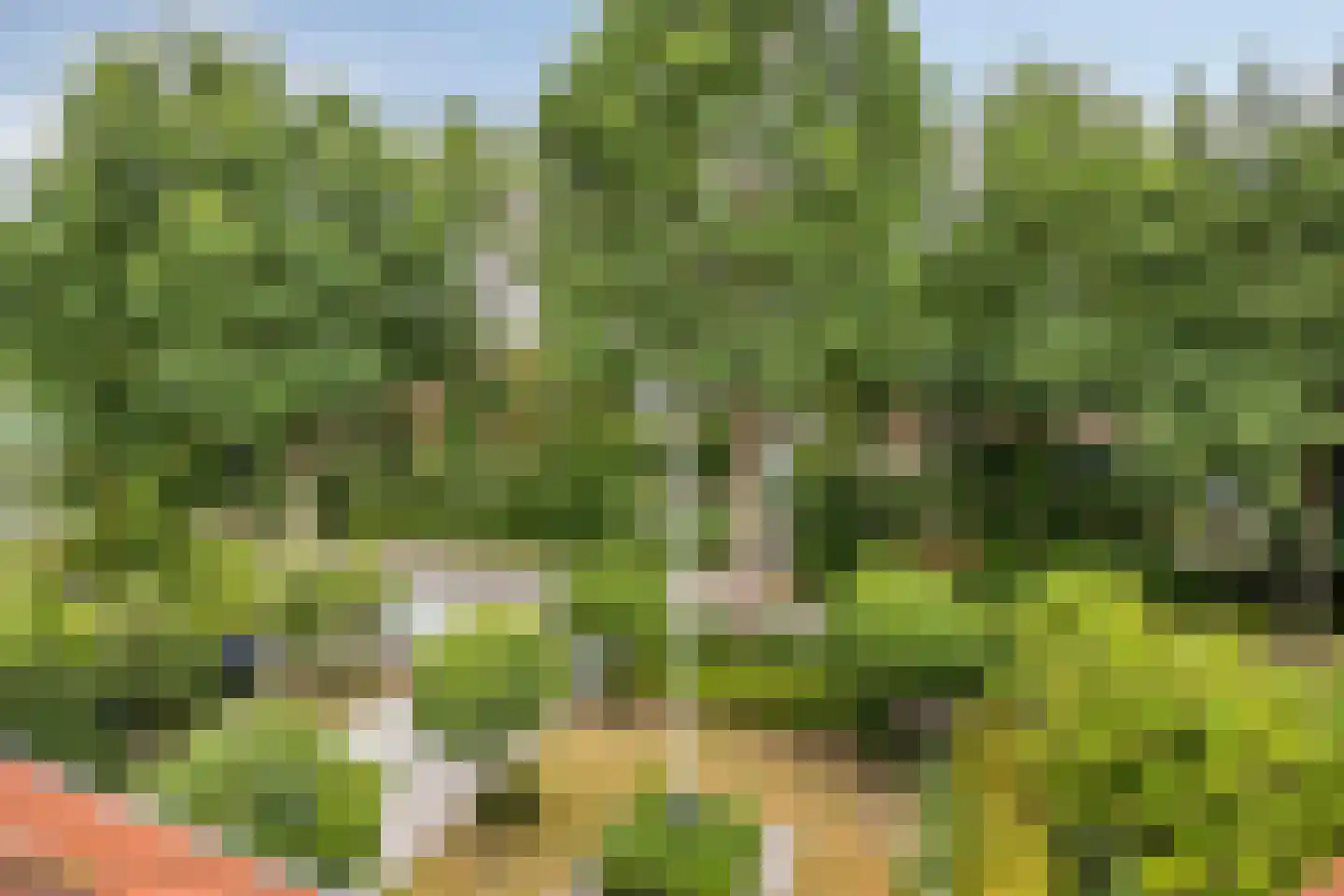 Welgelegenlaan 18 Driebergen-Rijsenburg thumbnail 51