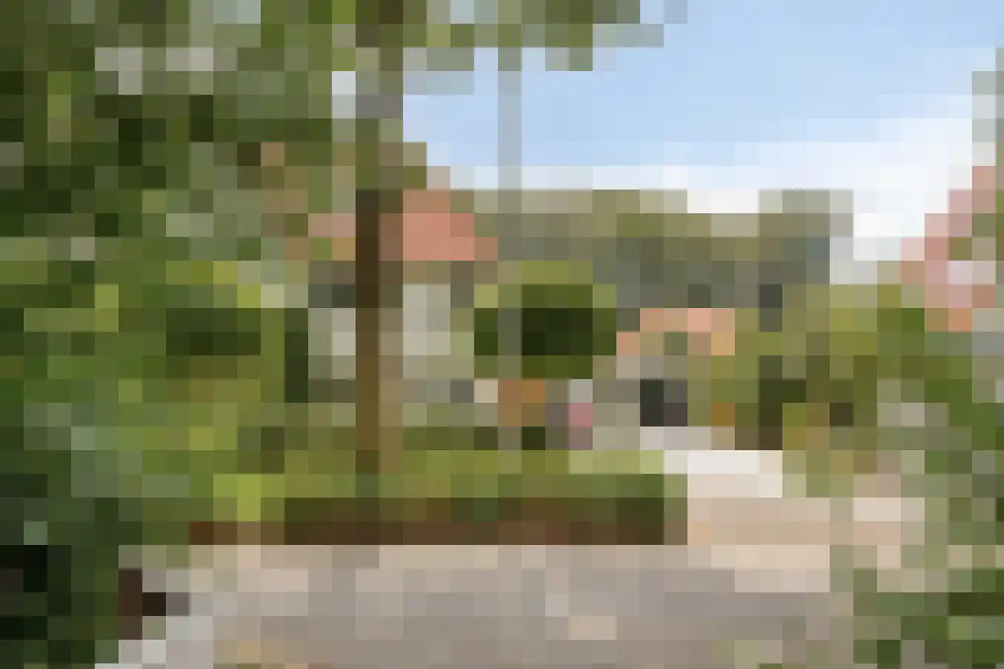 Welgelegenlaan 18 Driebergen-Rijsenburg thumbnail 57