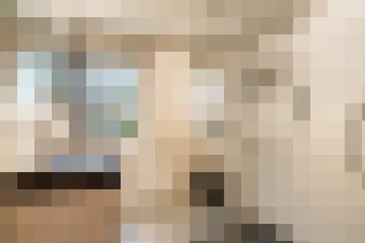 Welgelegenlaan 27 Driebergen-Rijsenburg thumbnail 34