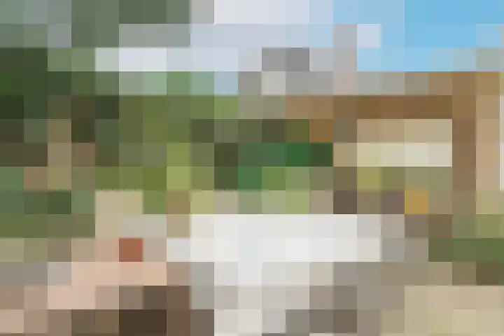 Welgelegenlaan 27 Driebergen-Rijsenburg thumbnail 59