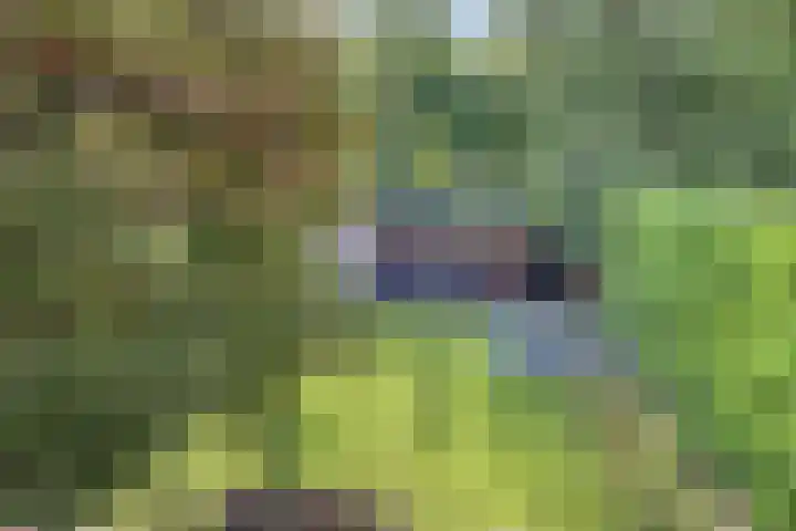 Welgelegenlaan 64 Driebergen-Rijsenburg thumbnail 30