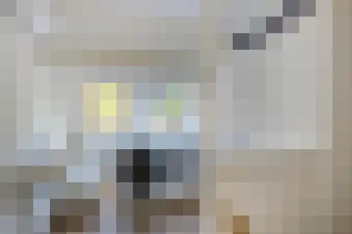Welgelegenlaan 64 Driebergen-Rijsenburg thumbnail 31