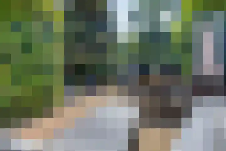 Welgelegenlaan 64 Driebergen-Rijsenburg thumbnail 38