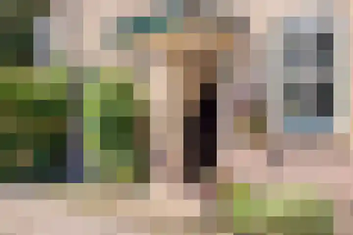 Welgelegenlaan 64 Driebergen-Rijsenburg thumbnail 4