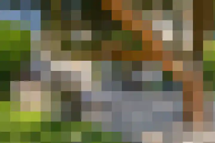 Welgelegenlaan 64 Driebergen-Rijsenburg thumbnail 41