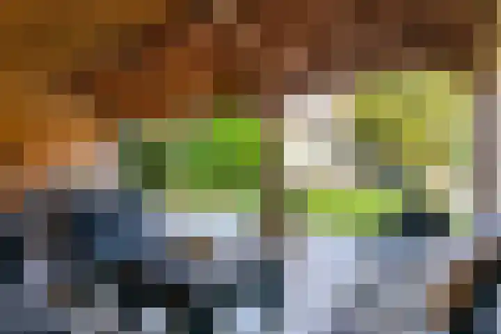Welgelegenlaan 64 Driebergen-Rijsenburg thumbnail 44