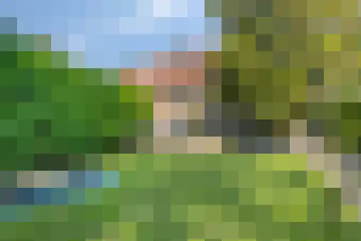 Welgelegenlaan 64 Driebergen-Rijsenburg thumbnail 45