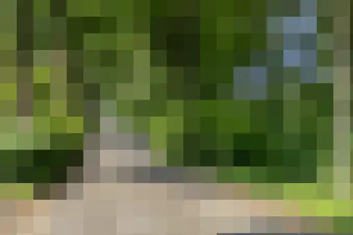 Welgelegenlaan 64 Driebergen-Rijsenburg thumbnail 47