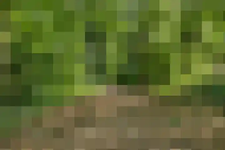 Welgelegenlaan 64 Driebergen-Rijsenburg thumbnail 48