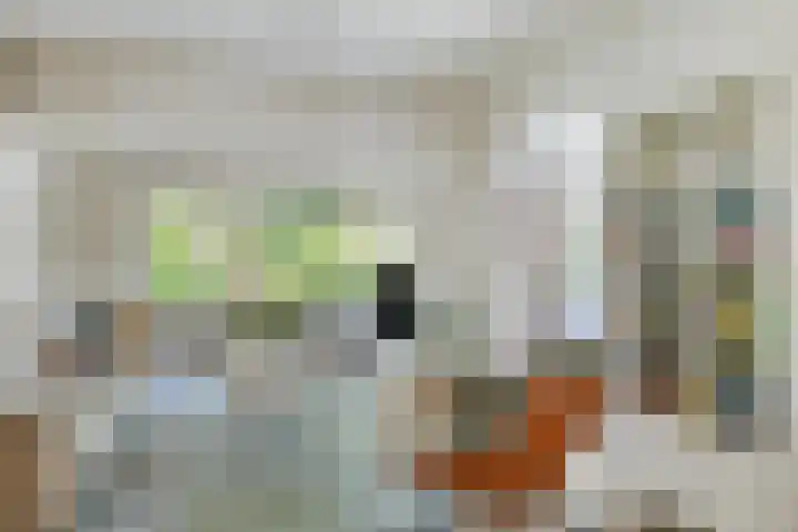 Welgelegenlaan 64 Driebergen-Rijsenburg thumbnail 8