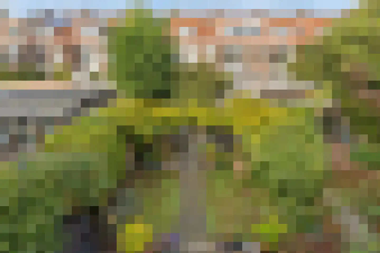 Welgelegenstraat 11 Haarlem thumbnail 30