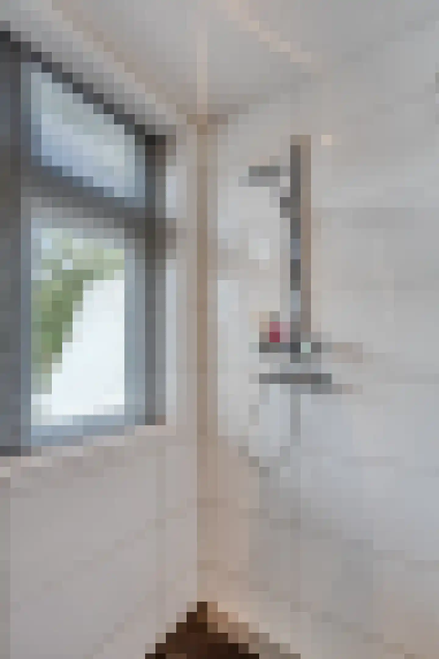 Welgelegenstraat 11 Haarlem thumbnail 33